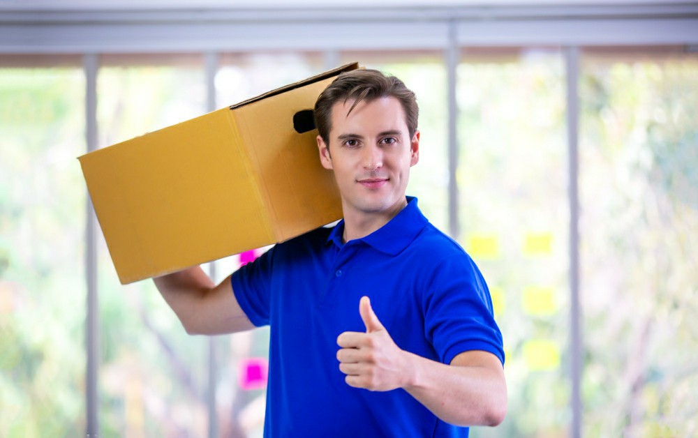 The Importance of Manual Handling Professional Safety Training in Ireland's Healthcare Sector - Online Safety Courses blog article
