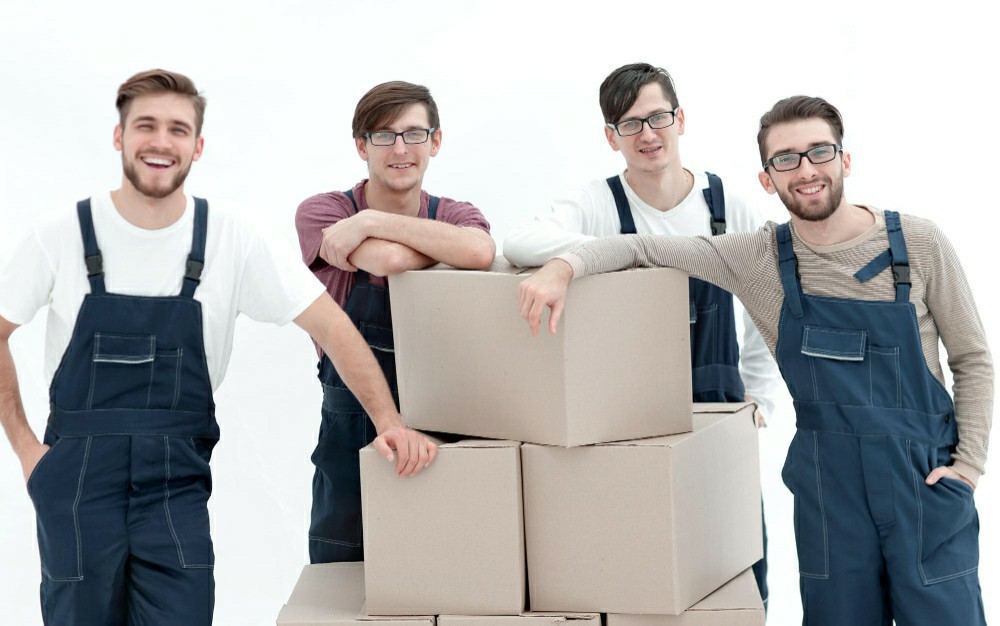 Why Manual Handling International Training is Vital for Safe Healthcare Practices in Ireland - Online Safety Courses blog article
