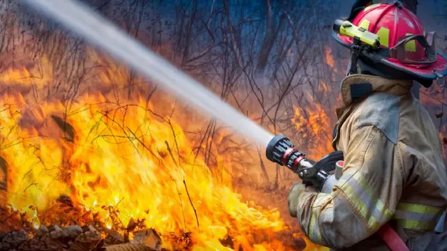 Elevate Workplace Safety: The Critical Need for Fire Warden & Fire Marshal Training - Online Safety Courses blog article