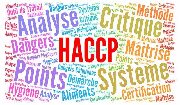 Unlock Food Safety Success: The Essential Role of HACCP Certification in Ireland's Food Industry - Online Safety Courses blog article