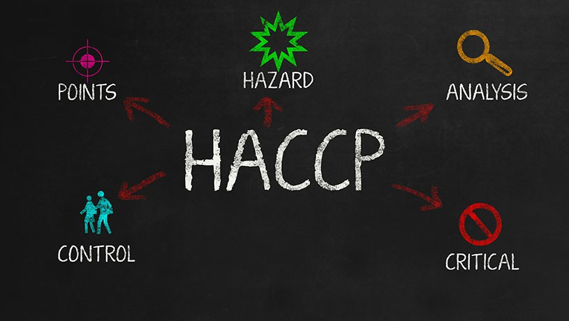 HACCP Certification: Your Comprehensive Roadmap to Food Safety Compliance in Ireland's Food Sector - Online Safety Courses blog article