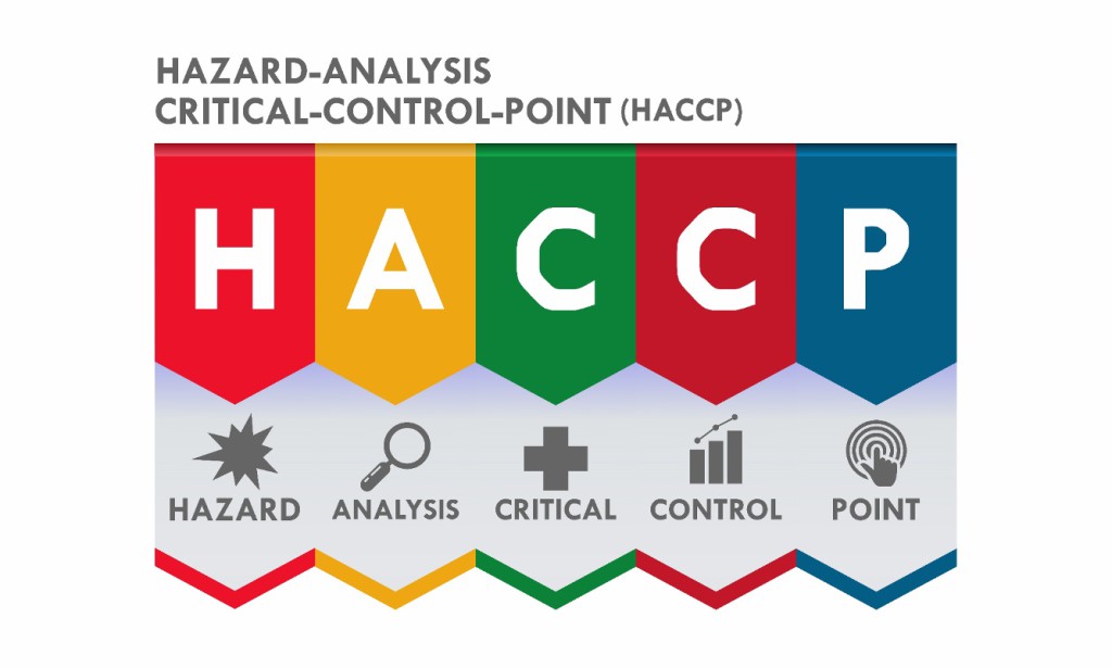 Elevate Your Food Safety Standards: The Essential Role of HACCP Training in Ireland - Online Safety Courses blog article
