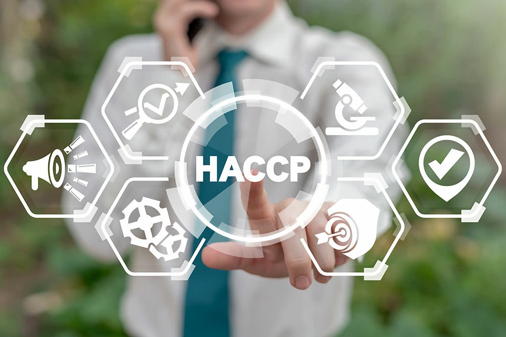 Elevate Food Safety Standards: The Imperative of HACCP Certification for Businesses in Ireland - Online Safety Courses blog article
