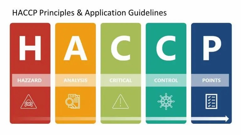 Elevate Your Food Business: The Essential Value of HACCP Certification in Ireland - Online Safety Courses blog article